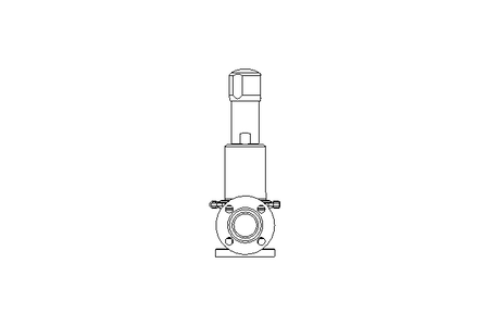 SAFETY VALVE