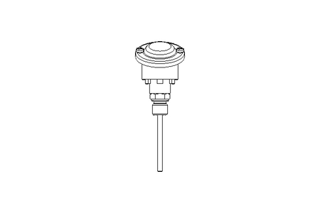 Widerstandsthermometer 0-200 Grad C L100