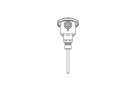 Widerstandsthermometer 0-200 Grad C L100