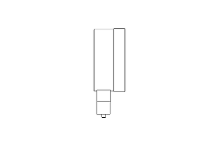 Rohrfedermanometer NG 100 (MPa)