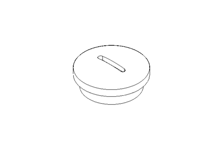 TAMPAO ROSCADO PG 16 D 46320