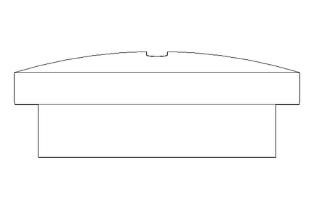 TAMPAO ROSCADO PG 16 D 46320