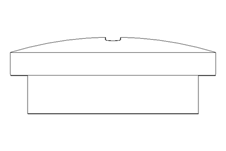 TAMPAO ROSCADO PG 16 D 46320