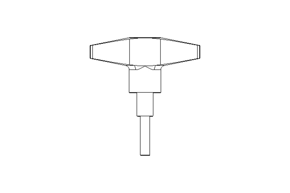 T-HANDLE     M 6X25         A2