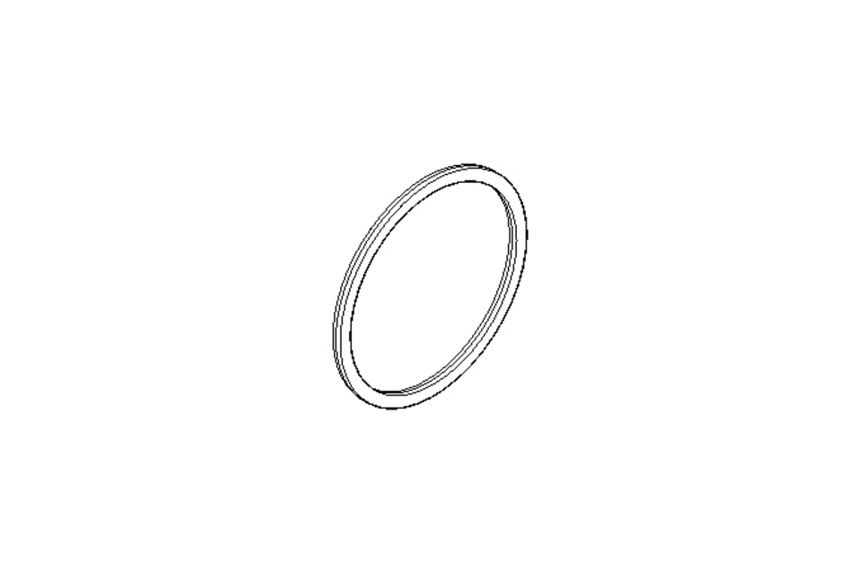 SEALING RING   DN80