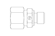 Conexão roscada de tubo L 12 G1/4"