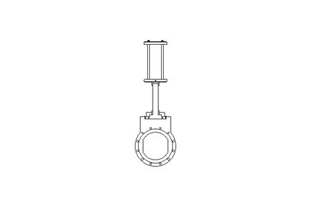 CORREDICA - PNEUMATICA ERU PN6