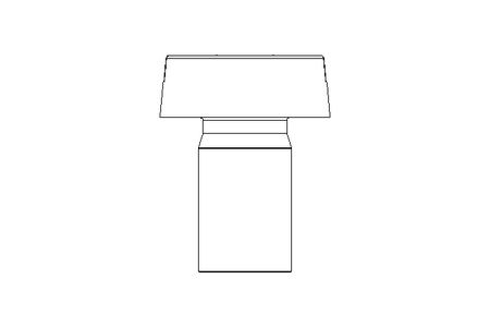 Zyl-Schraube M3x5 A2 ISO1207