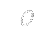 Уплотнительное кольцо G DN50 NBR